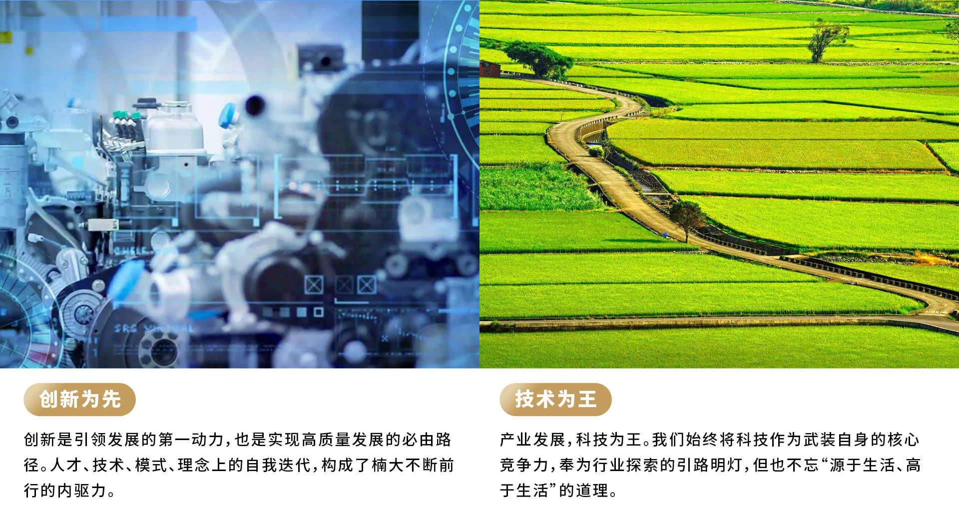 &#51;&#54;&#53;&#19978;&#24066;&#20844;&#21496;&#40;&#33521;&#22269;&#41;&#38598;&#22242;&#45;&#23448;&#26041;&#32593;&#31449;